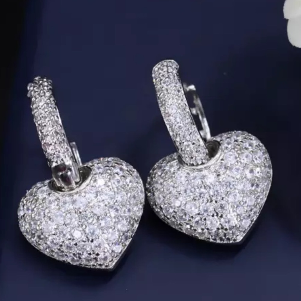 1 Pair Earrings